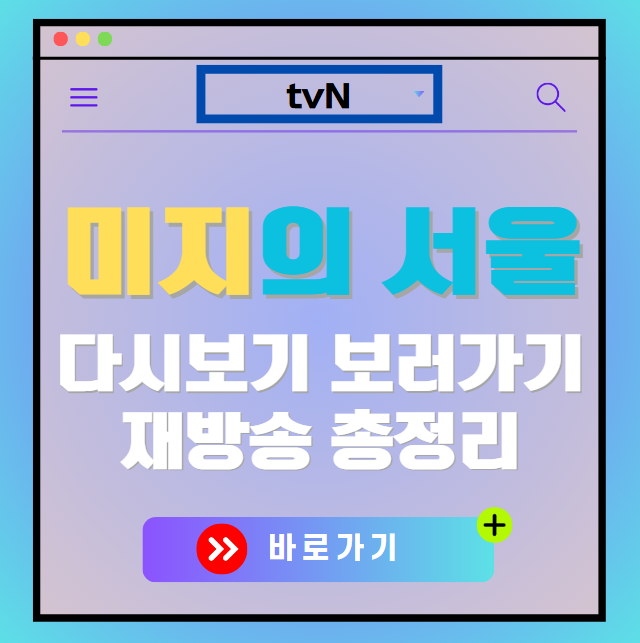 미지의 서울 다시보기, 재방송 보러가기, OTT 출연진 모든 정보